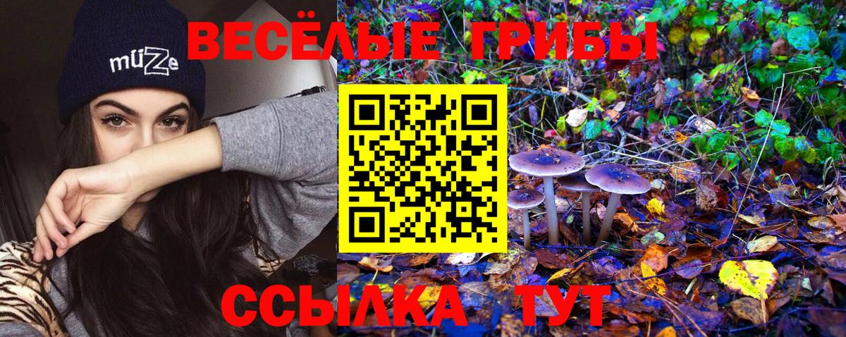 Псилоцибиновые грибы мицелий Анапа